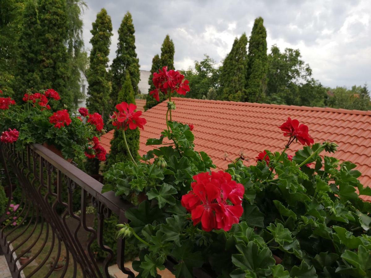 Julia Panzio Bed & Breakfast ไฮจ์ดุสโซบอสโล ภายนอก รูปภาพ