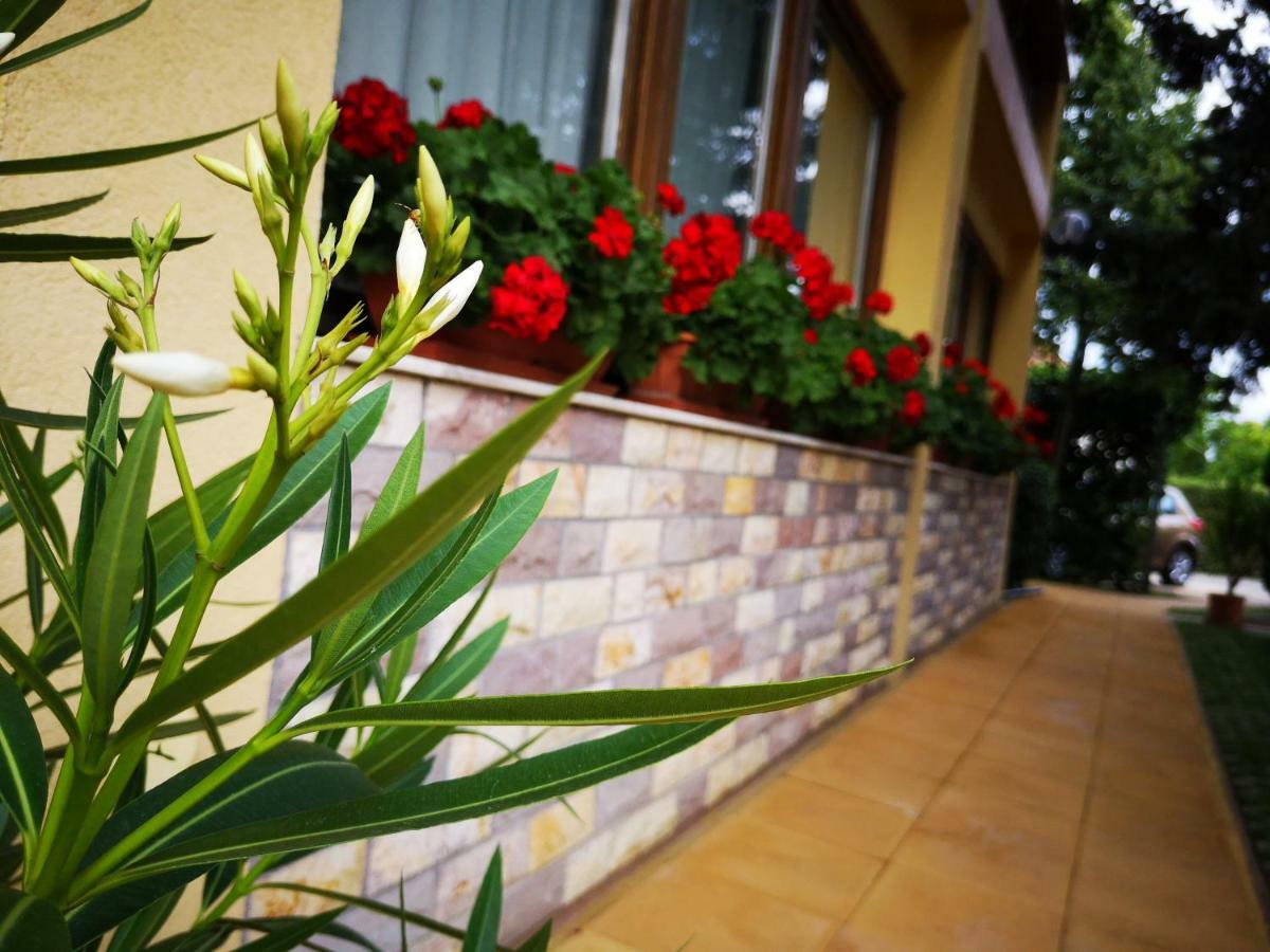 Julia Panzio Bed & Breakfast ไฮจ์ดุสโซบอสโล ภายนอก รูปภาพ